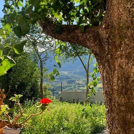 B&B Al San Francesco Castel di Sangro Kültér fotó