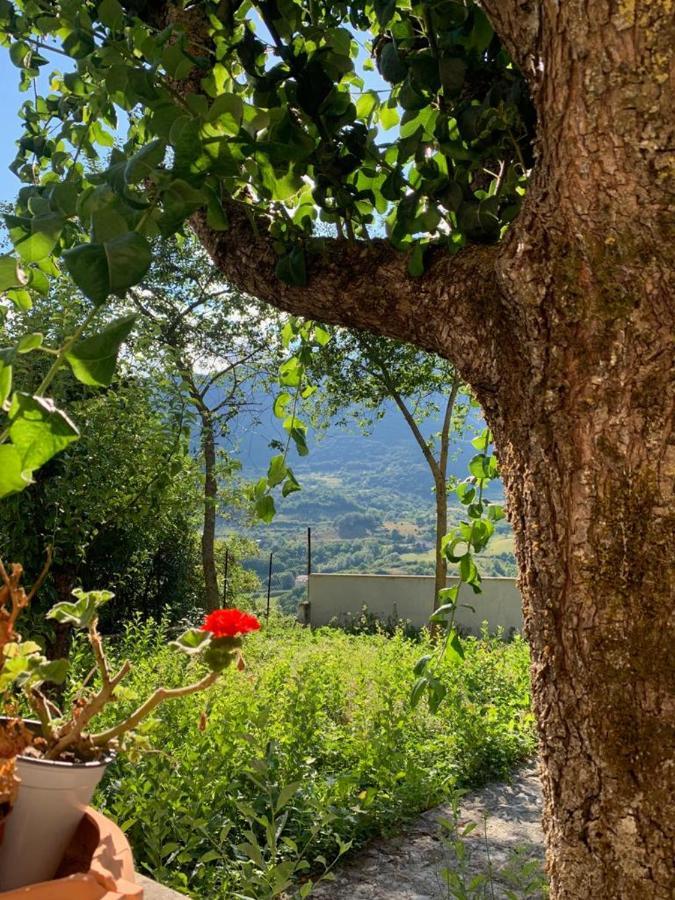 B&B Al San Francesco Castel di Sangro Kültér fotó